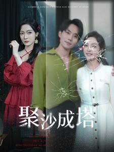 聚沙成塔（30集）经典老剧免费看