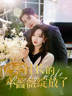 季社长的小蔷薇绽放了（60集）夸克网盘观看