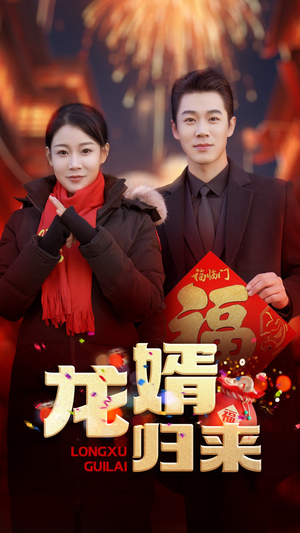 龙婿归来（27集）短剧在线看