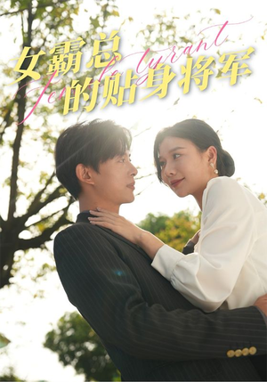 女霸总的贴身将军（80集）经典老剧免费看