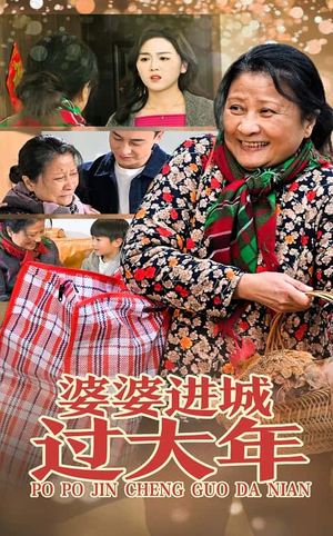 婆婆进城过大年（33集）超甜短剧分享