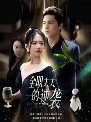 全职太太的逆袭（80集）在线看到大结局
