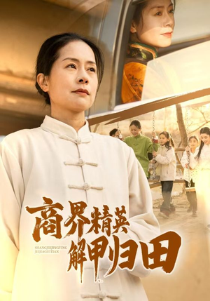 商界精英解甲归田（31集）百度网盘在线看