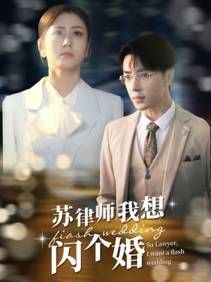 苏律师我想闪个婚（95集）百度网盘在线看