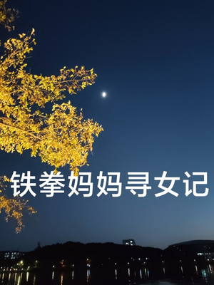 铁拳妈妈寻女记（69集）热门短剧免费看