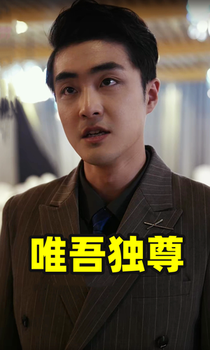 唯吾独尊（96集）热播短剧免费看