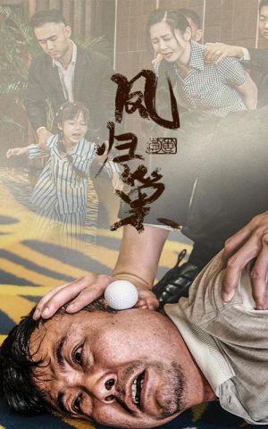 新版：凤归巢（68集）这部短剧我爱了
