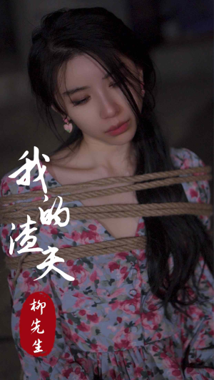 我的渣夫柳先生（80集）短剧追不停