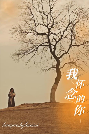 我怀念的你（38集）一起看短剧