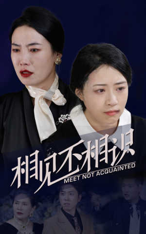 相见不相识（34集）短剧太好看了吧