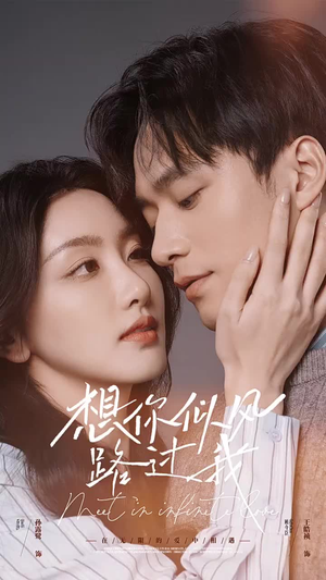 想你似风路过我（40集）热门短剧免费看