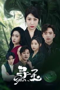 寻玉（77集）经典老剧免费看