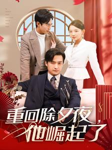重回除夕夜他崛起了（89集）男频短剧推荐