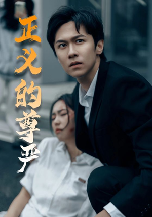 正义的尊严（35集）80到100集