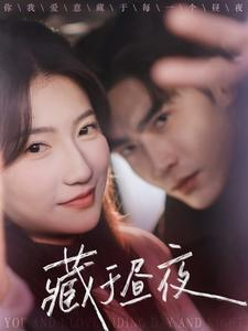 藏于昼夜（68集）1-102集