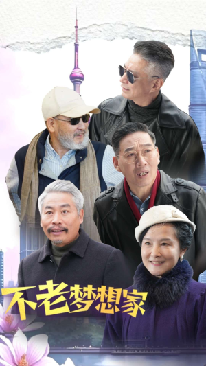 不老梦想家（48集）80到100集
