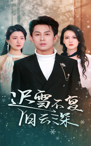 迟雪不复旧云深（45集）免费版