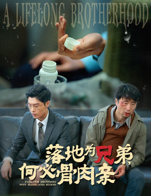 落地为兄弟，何必骨肉亲（60集）短剧在线观看