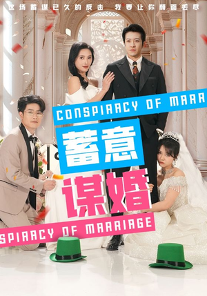蓄意谋婚（30集）在哪里可以看