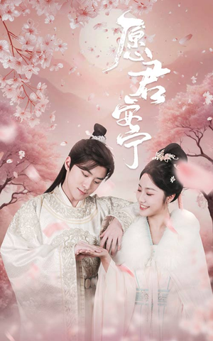 愿君安宁（34集）夸克网盘在线看