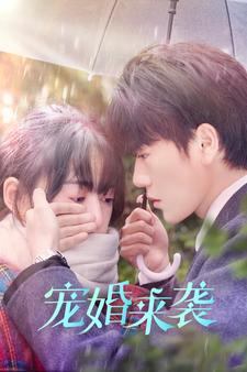 宠婚来袭（102集）好看又上头短剧