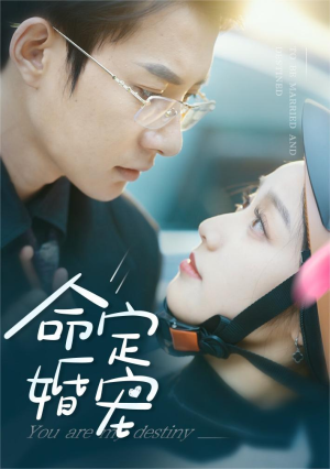命定婚宠（61集）超火热门短剧