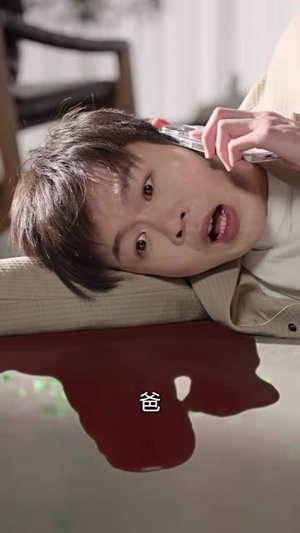 重生之万丈光芒（21集）热门短剧排行榜