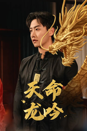 天命龙吟（48集）精彩短剧天天看