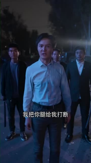 风云令（100集）好看短剧追不停