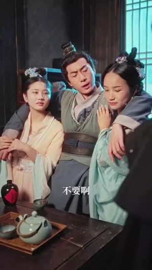 精忠报国（41集）每天分享短剧