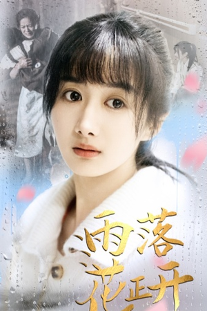 雨落花正开（62集）经典回顾免费看