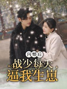 闪婚后战少每天逼我生崽（91集）短剧太精彩