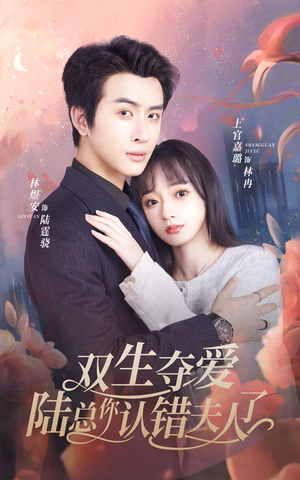 双生夺爱陆总你认错夫人了（94集）看精彩短剧