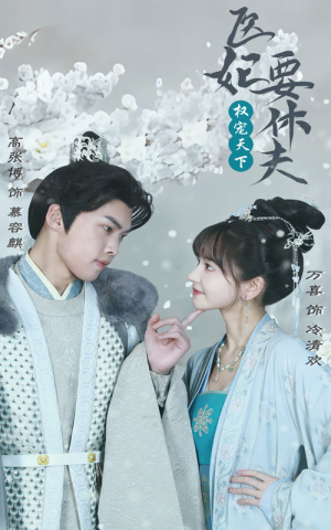 权宠天下：医妃要休夫（94集）免费热门短剧