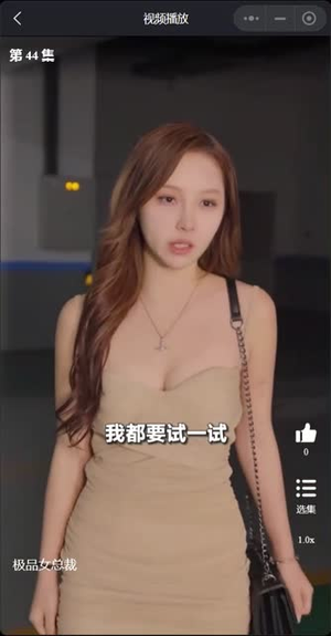 我的富豪美女总裁（我的极品女总裁）在线看到大结局