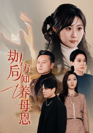 春风拂旧怨（45集） 演的怎么样