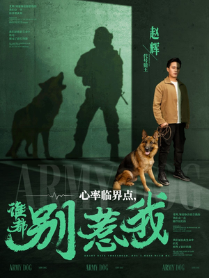 心率临界点谁都别惹我（96集） 在哪个平台能看
