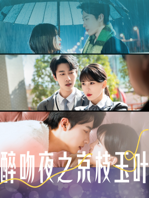 醉吻夜之京枝玉叶（90集） 一共多少集