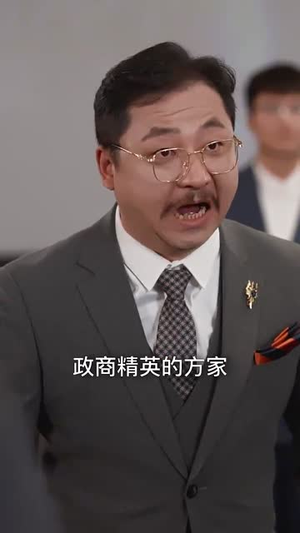中年离婚后她名动商界（30集） 完整版