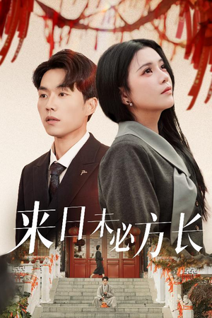 来日未必方长（29集） 免费看全集