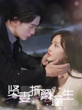 贤妻折翼逢生&雨落灯残梦（85集）  女主角是谁