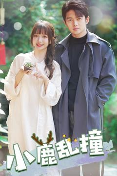 小鹿乱撞（40集） 免费短剧资源