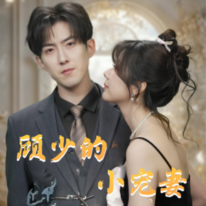 顾少的小宠妻（90集）最新热剧免费看