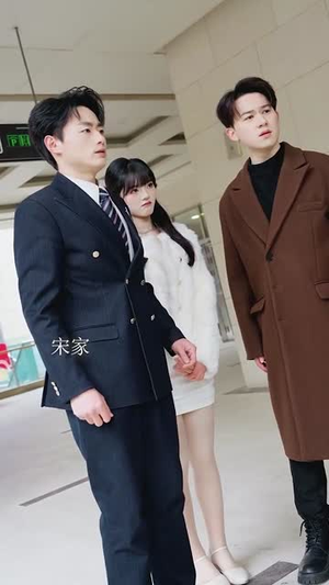 真假宋小姐（70集） 红果短剧看全集