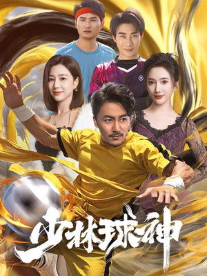 少林球神（46集） 看过的人都说好