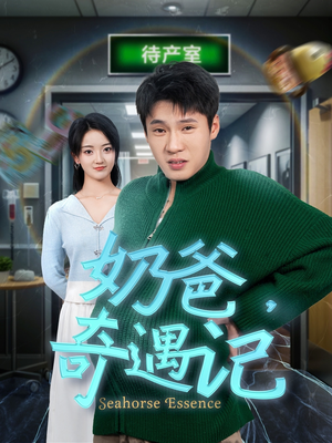 奶爸奇遇记（60集） 解说