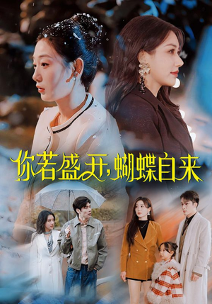 你若盛开，蝴蝶自来（63集）全集免费