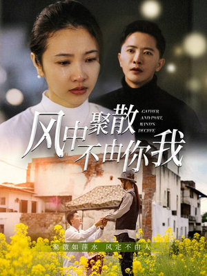 风中聚散不由你我（41集） 短剧中追到爽
