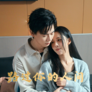 路过你的人间（31集）免费看