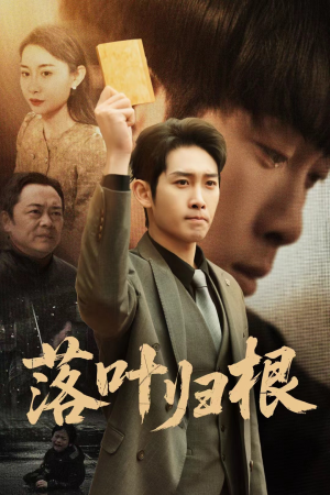 落叶归根（35集） 在哪个app能看